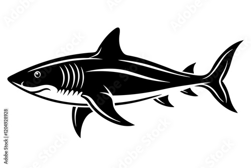 shark illustration