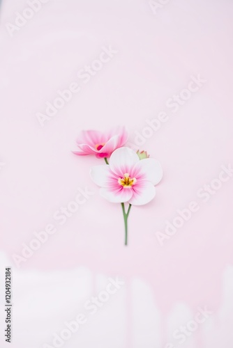 Delicate pink flowers on pink background. (1)