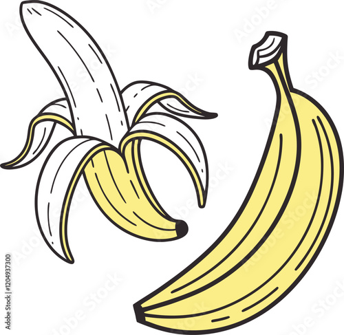 Vector Illustration of Banana: A Fresh and Vibrant Fruit Design