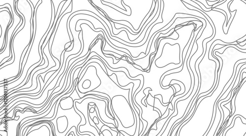 Topographic contour map illustration. Topography and geography map grid abstract backdrop. Business concept. Fish Fillet Texture, Salmon fillet texture, fish pattern. paper texture