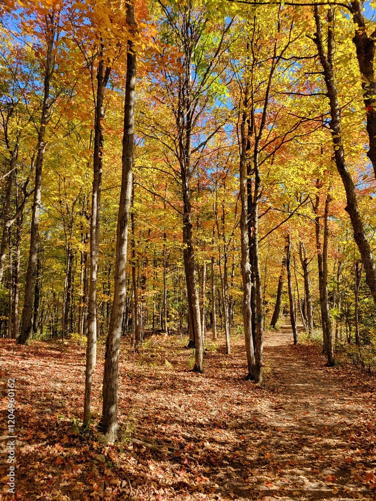 A fall hike A fall hike