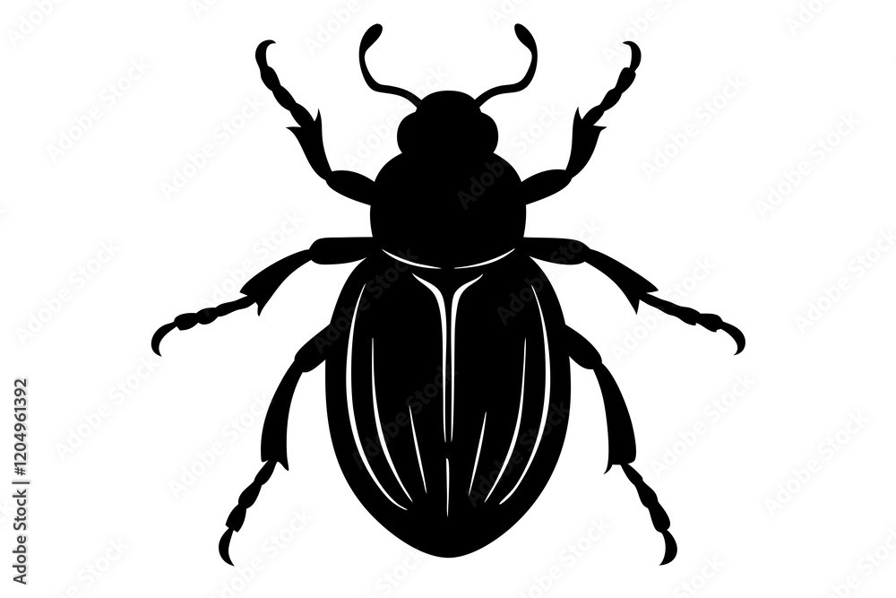 beetle silhouette vector white background beetle silhouette vector white background