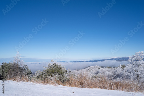 Wallpaper Mural 美しい霧氷の木々と青空 Torontodigital.ca
