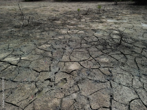 etang des salines, martinique, martinica photo