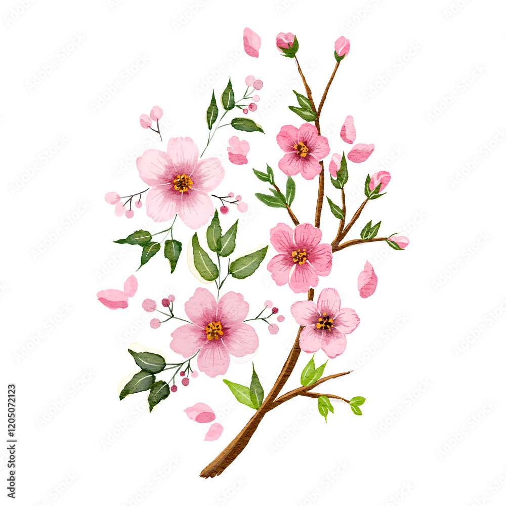 hand drawn watercolor sakura flower blossom hand drawn watercolor sakura flower blossom