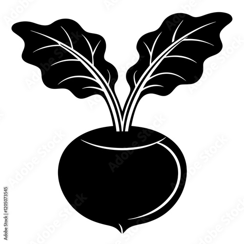 kohlrabi silhouette vector illustration 