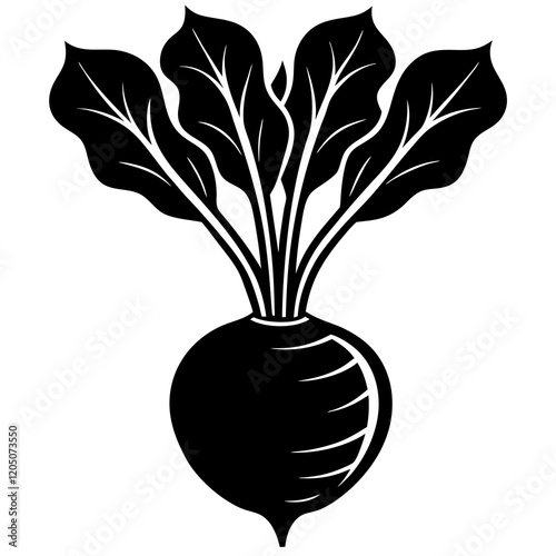 kohlrabi silhouette vector illustration 