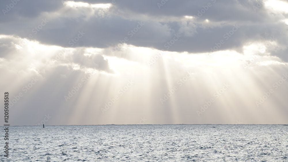 1000_F_1205085513_aRFIVH0cveHj