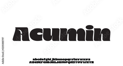 Elegant luxury decorative display font vector
