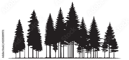 Majestic Silhouette of a Pine Tree Forest