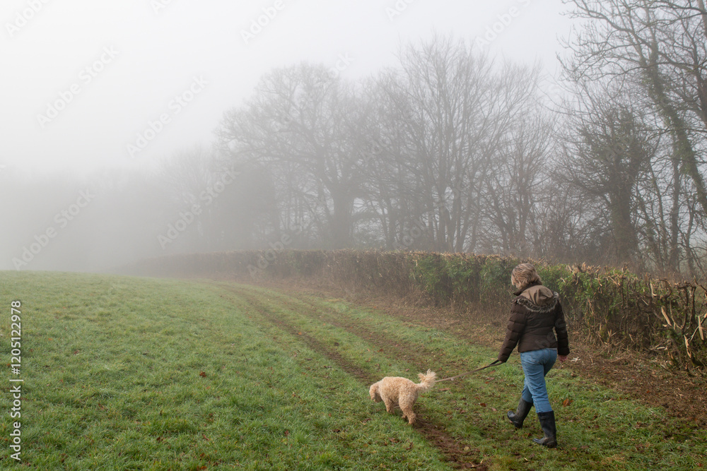 Dog walking. A lady walks a dog on a misty winters morning through a rural field landscape, shrouded in early morning mist. Cavapoo dog. Foggy day during winter, autumn and fall. Dog walking. A lady walks a dog on a misty winters morning through a rural field landscape, shrouded in early morning mist. Cavapoo dog. Foggy day during winter, autumn and fall.