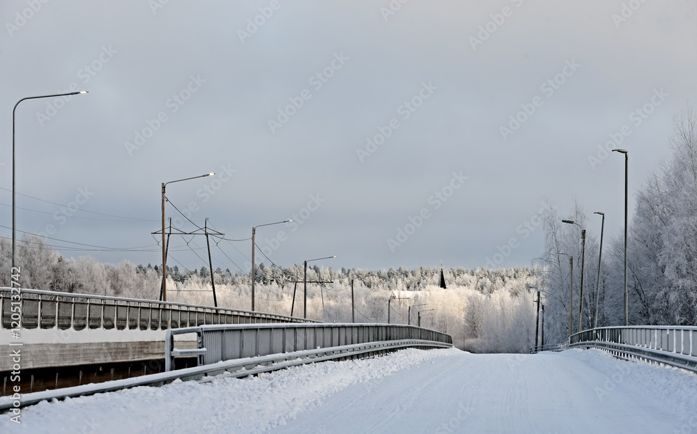 Naklejka premium A landscape over a bridge to frosty woodland