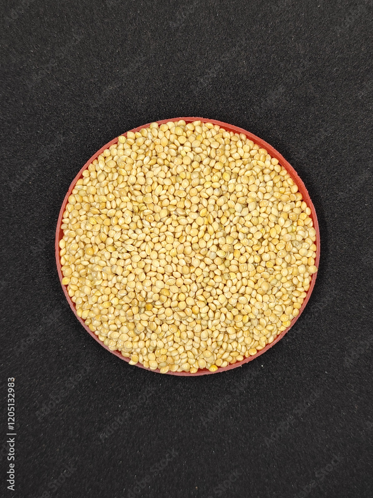 Millet seeds in red container. Millet seeds for bird feed. Millet seeds in red container. Millet seeds for bird feed.