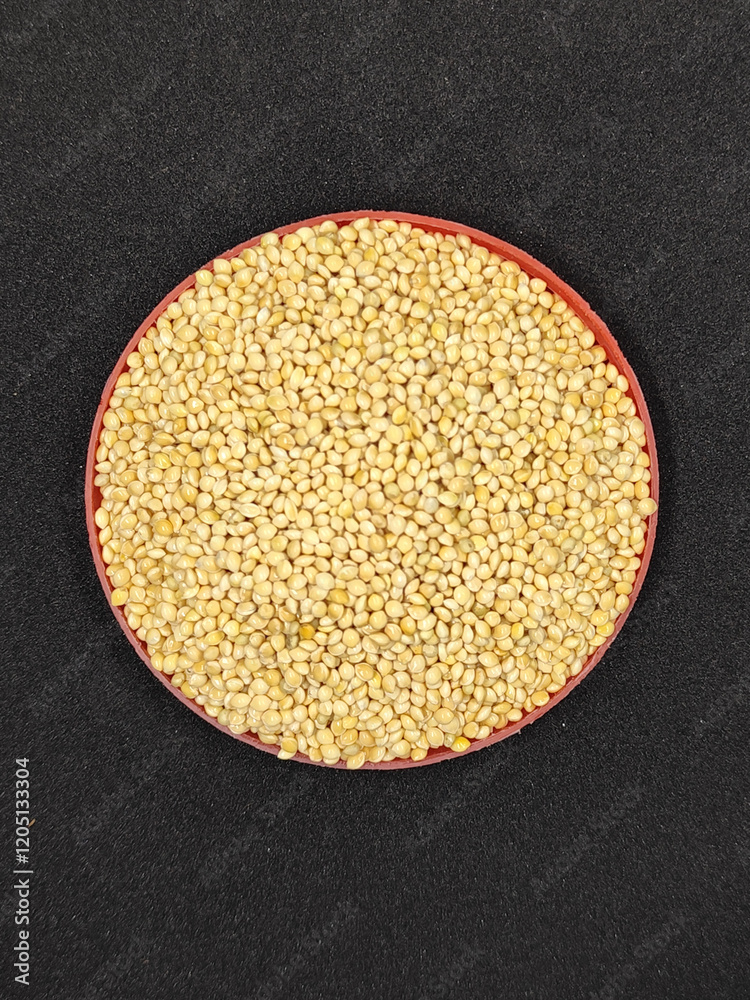 Millet seeds in red container. Millet seeds for bird feed. Millet seeds in red container. Millet seeds for bird feed.
