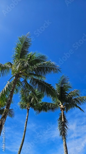 Wallpaper Mural Exotic atmosphere with beautiful palm trees and beautiful sea Torontodigital.ca