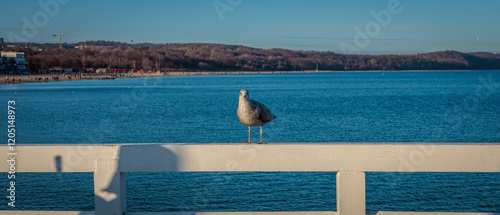 Sopot, Poland - December 25 2024 "Winter walk on pier in Sopot"
