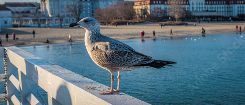 Sopot, Poland - December 25 2024 "Winter walk on pier in Sopot"