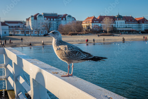 Sopot, Poland - December 25 2024 "Winter walk on pier in Sopot"