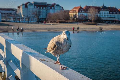 Sopot, Poland - December 25 2024 "Winter walk on pier in Sopot"