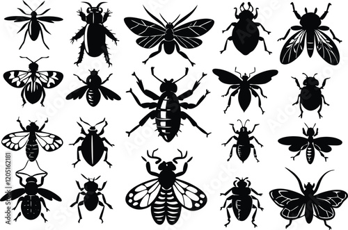 Popular insects silhouette icons isolated on white background