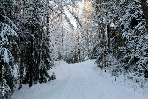 Obraz na płótnie Winter