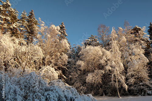 Obraz na płótnie winter