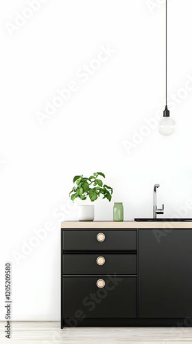 Modern Minimalist Kitchen F...