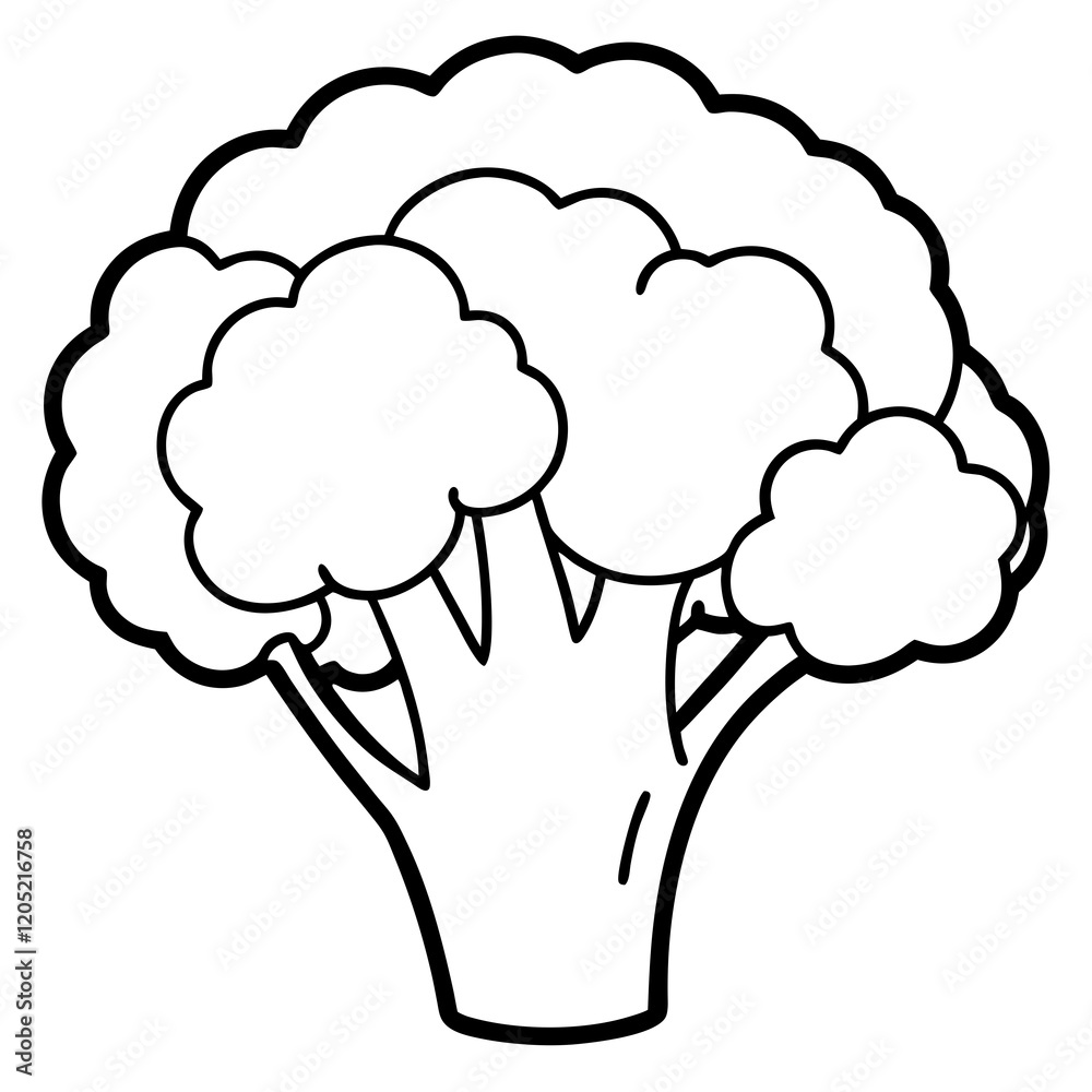 Elegant Broccoli Line Drawing for Vector Art Elegant Broccoli Line Drawing for Vector Art