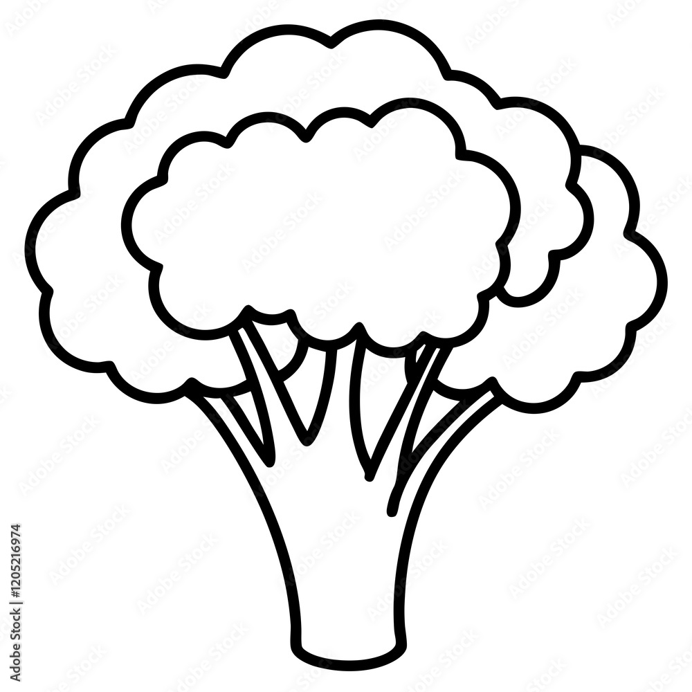 Elegant Broccoli Line Drawing for Vector Art Elegant Broccoli Line Drawing for Vector Art