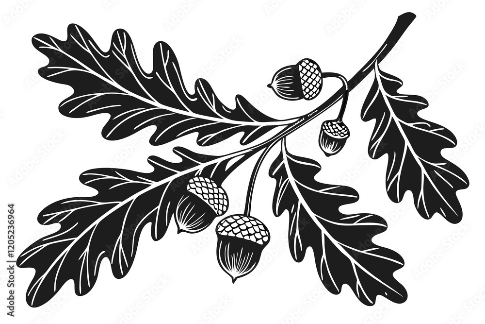 custom made wallpaper toronto digitalblack color line art Oak Tree leaves with acorns white background C.eps