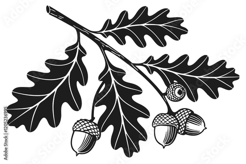 black color line art Oak Tree leaves with acorns white background B.eps