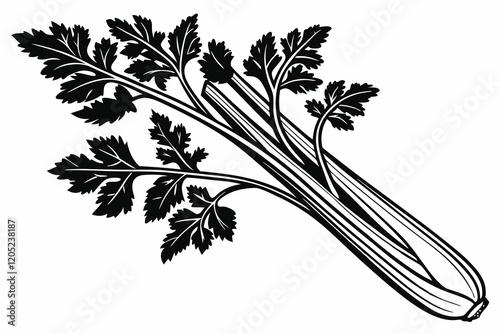 Celery Apium graveolens  silhouette, black and white, white background D.eps