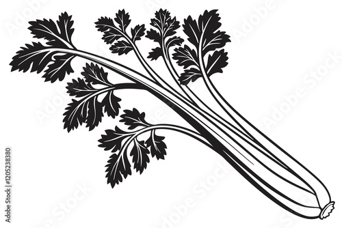 Celery Apium graveolens  silhouette, black and white, white background G.eps