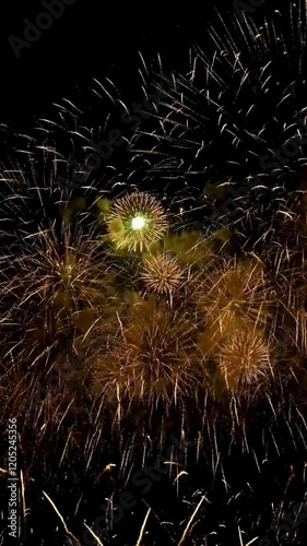 fireworks in the night sky