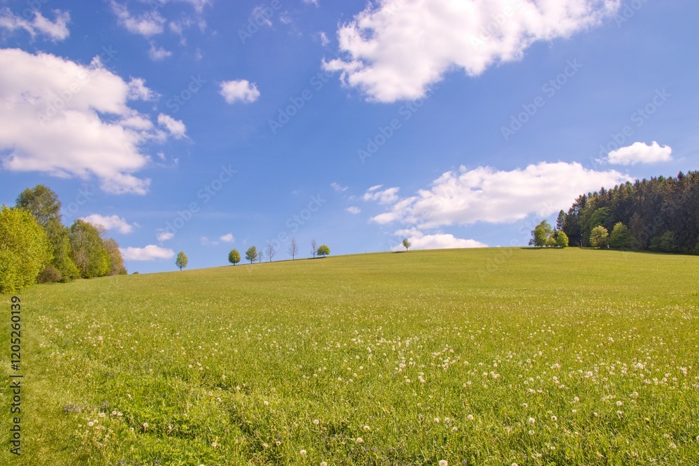 The countryside and landscape full of meadows and forests at Vysocina region, Czech republic