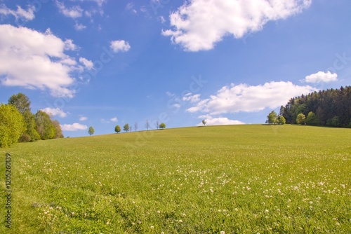 Obraz na płótnie The countryside and landscape full of meadows and forests at Vysocina region, Czech republic w salonie