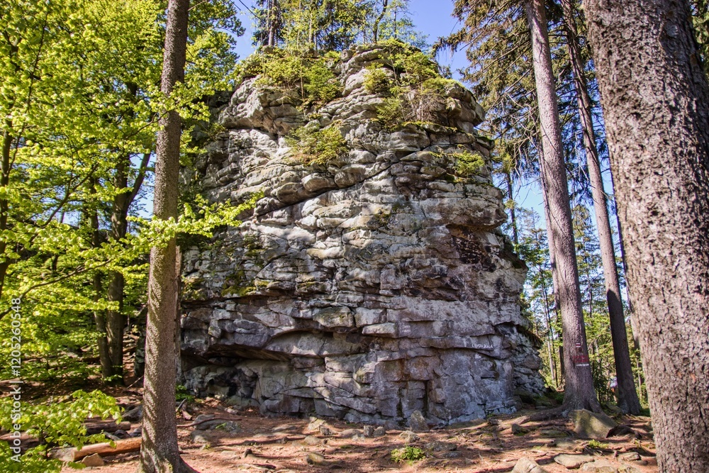 The old rock in the forest at Vysocina region, Czech republic