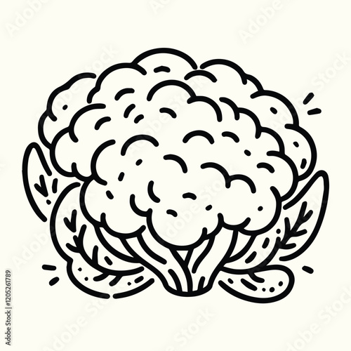 Cauliflower Line Art Illustration