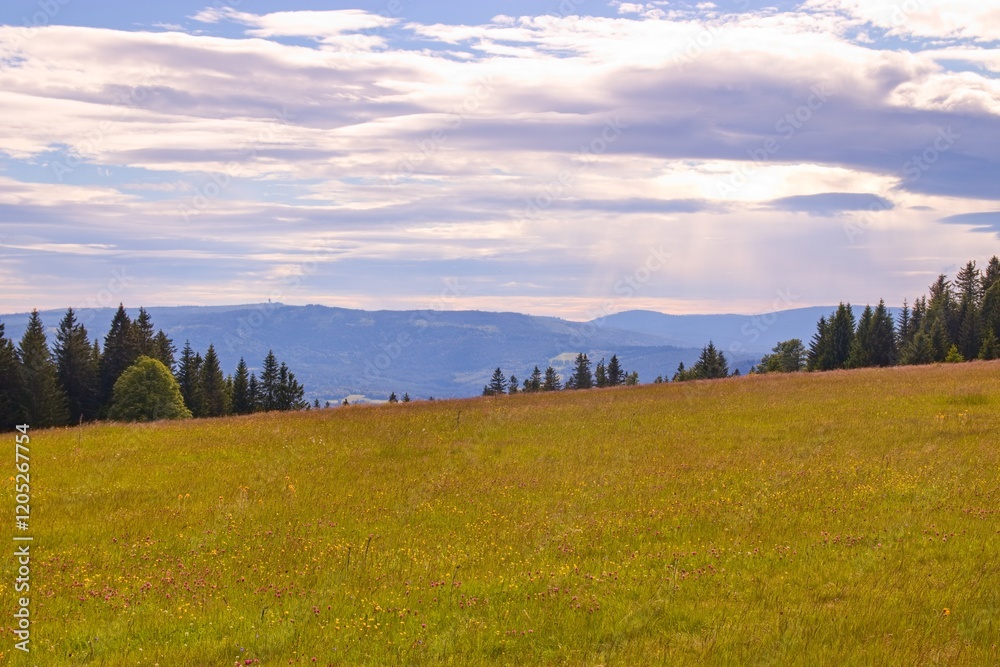 A view to the peaks of Sumava national park from the lost village Zhuri, Czech republic