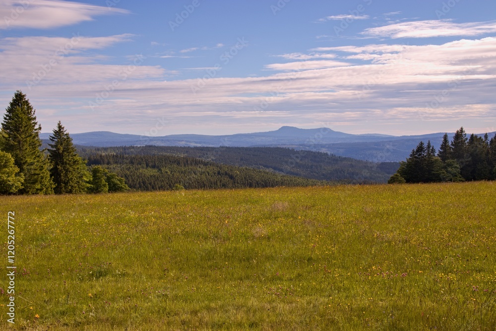 A view to the peaks of Sumava national park from the lost village Zhuri, Czech republic