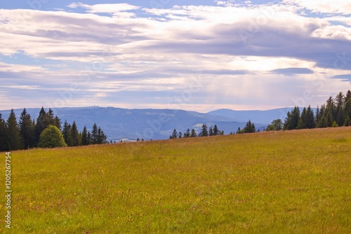 Obraz na płótnie A view to the peaks of Sumava national park from the lost village Zhuri, Czech republic w salonie