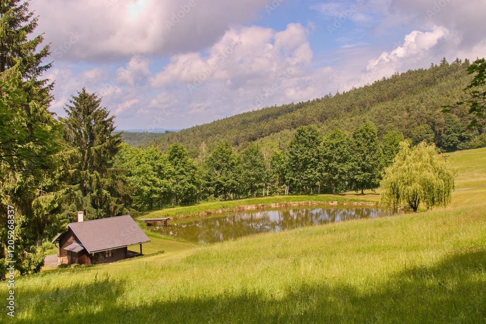 A cottage next to small pond in mountains surrounded by forest near Prachatice, Czech republic
