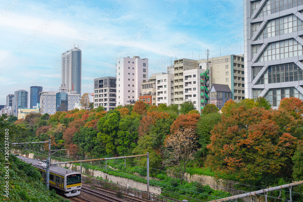 Naklejka premium 御茶ノ水の風景