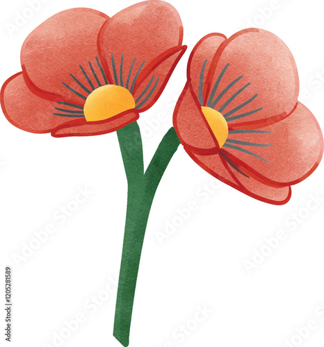 red poppy flower illustration with water color style on a transparency background