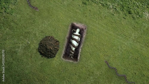 Snake In The Grave, Buried Body in grave with snakes, the torment of the grave