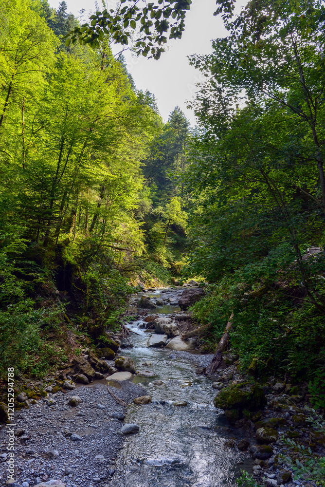 Die Bürser Schlucht in Bürs, Bürserberg und Brand im Bezirk Bludenz in Vorarlberg Die Bürser Schlucht in Bürs, Bürserberg und Brand im Bezirk Bludenz in Vorarlberg