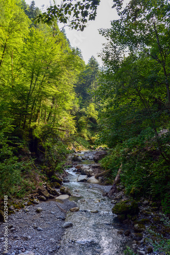 Die Bürser Schlucht in Bürs, Bürserberg und Brand im Bezirk Bludenz in Vorarlberg