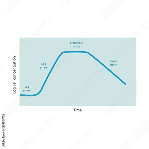 Diagram of bacterial growth curve - lag, log, stationary and death phase - simple schematic illustration.