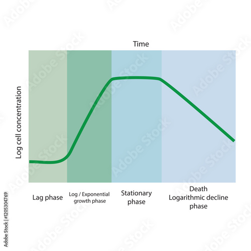 Diagram of bacterial growth curve - lag, log, stationary and death phase - simple schematic illustration.
