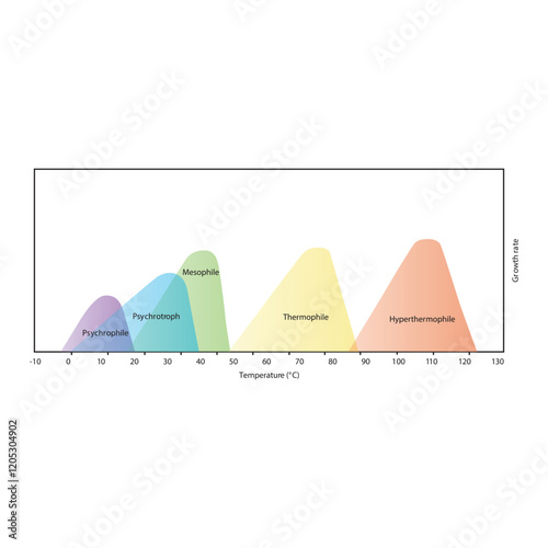 Diagram showing ideal bacterial growth temperature - Psychrophile, psychrotroph, mesophile, thermophile and hyperthermophile